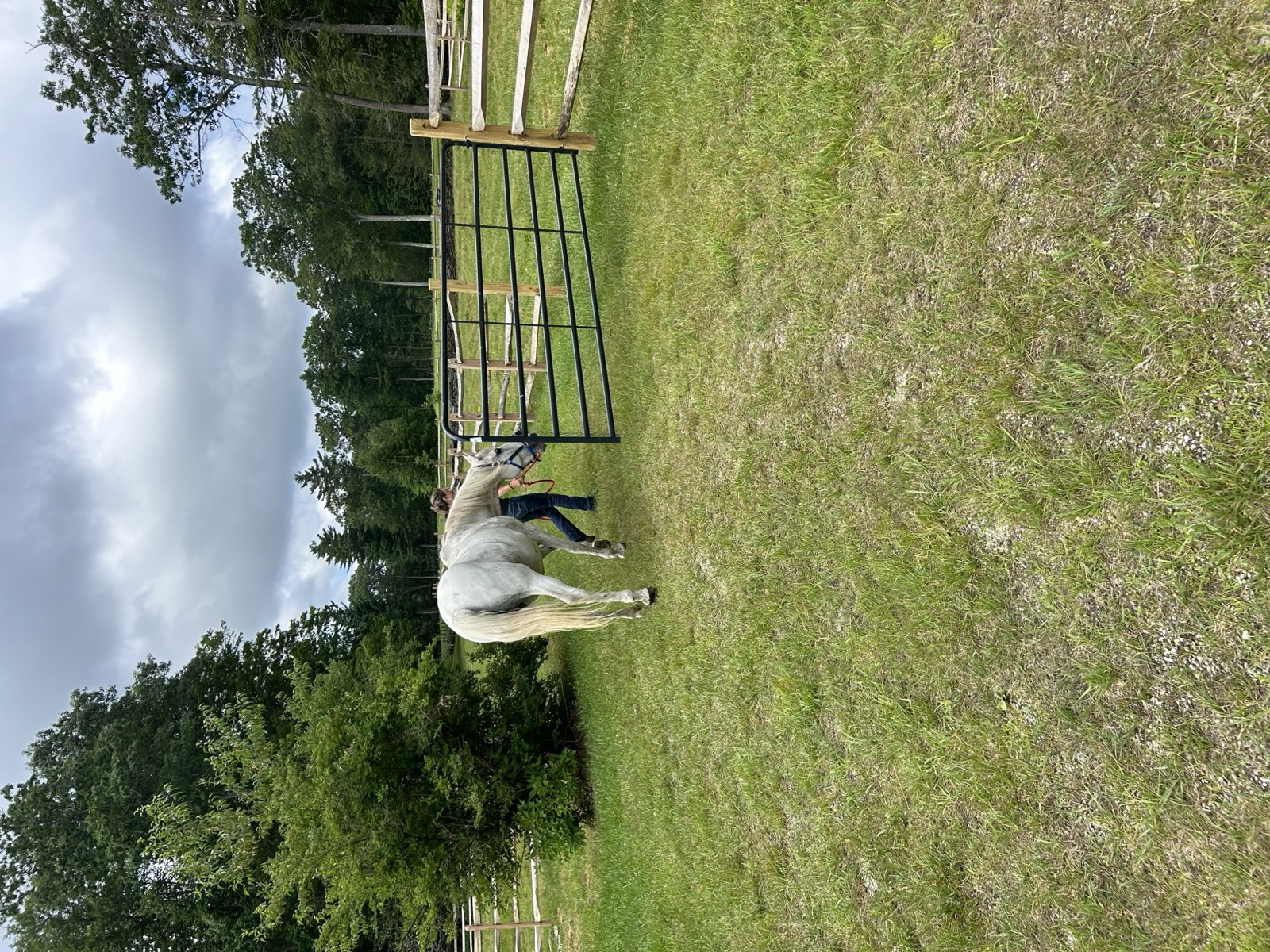 Tess with Horse