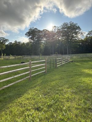 Pastures